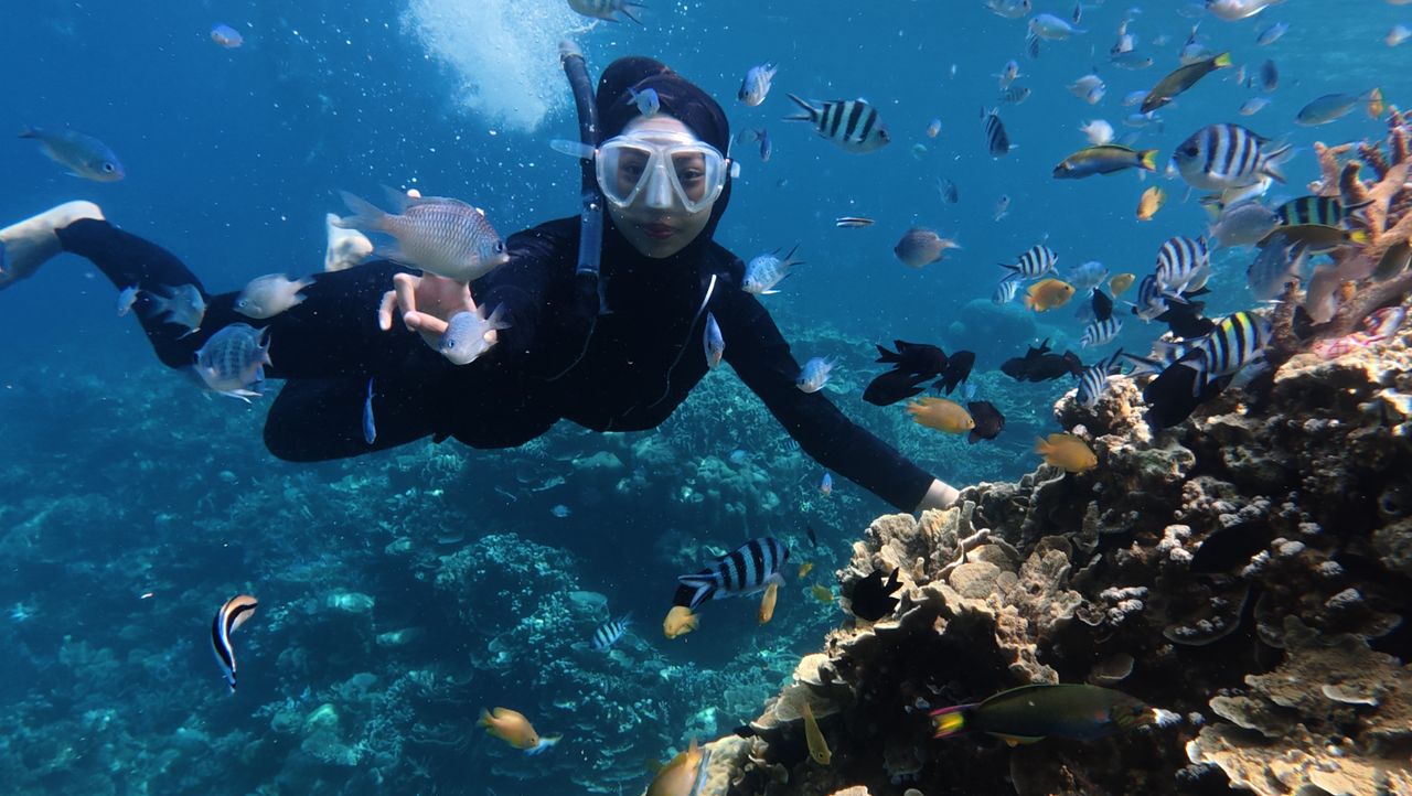 Explore vibrant marine life while snorkeling in Jawa Tengah, Indonesia.